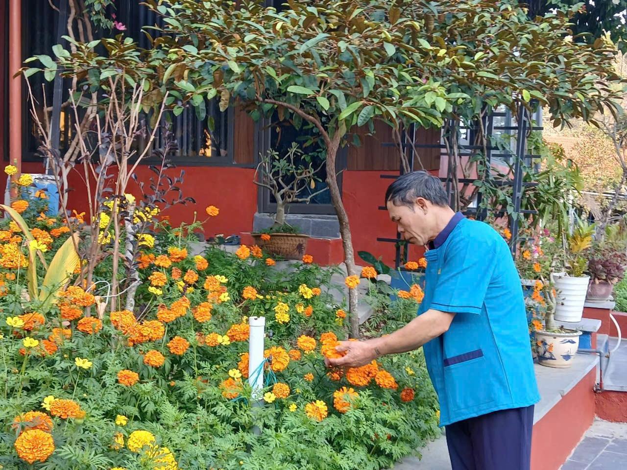 Catba Papillon Garden Bungalows & Resort Hien Hao Exterior foto