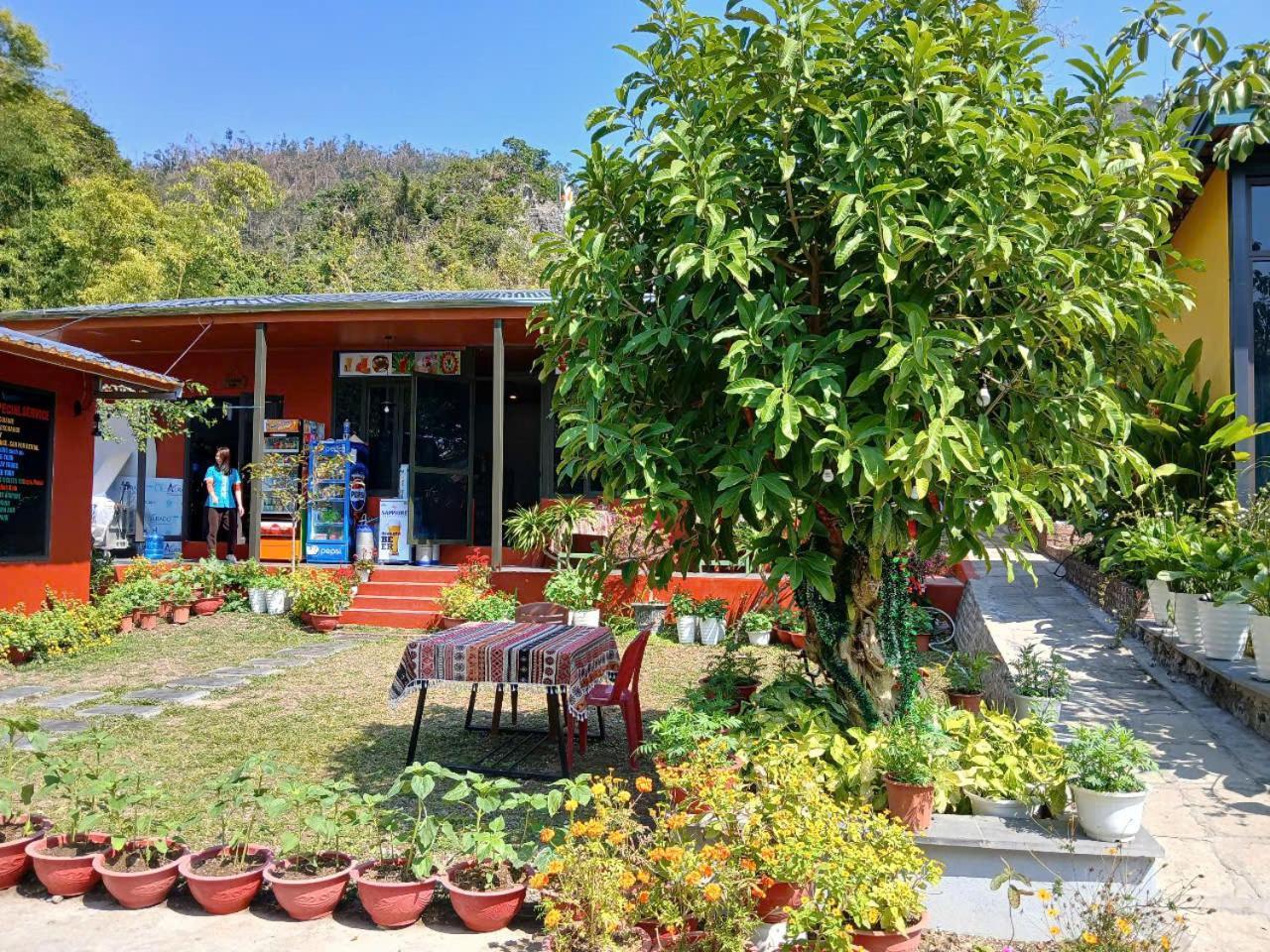 Catba Papillon Garden Bungalows & Resort Hien Hao Exterior foto