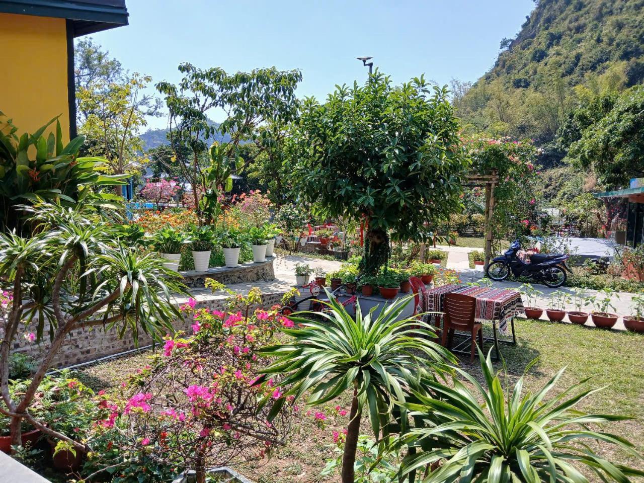 Catba Papillon Garden Bungalows & Resort Hien Hao Exterior foto