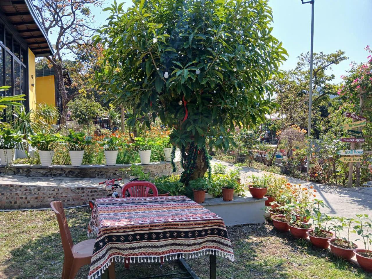 Catba Papillon Garden Bungalows & Resort Hien Hao Exterior foto