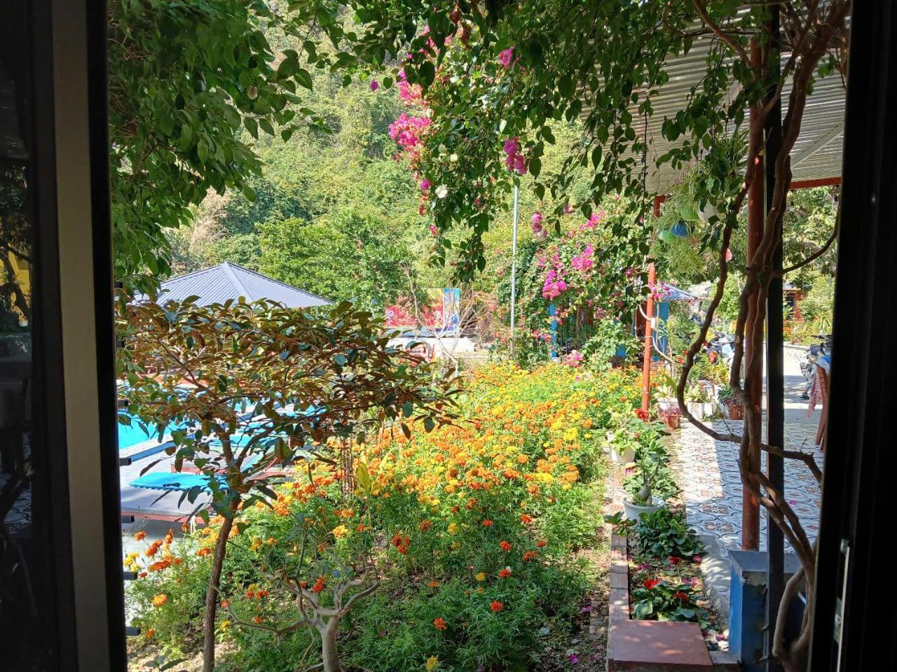 Catba Papillon Garden Bungalows & Resort Hien Hao Exterior foto