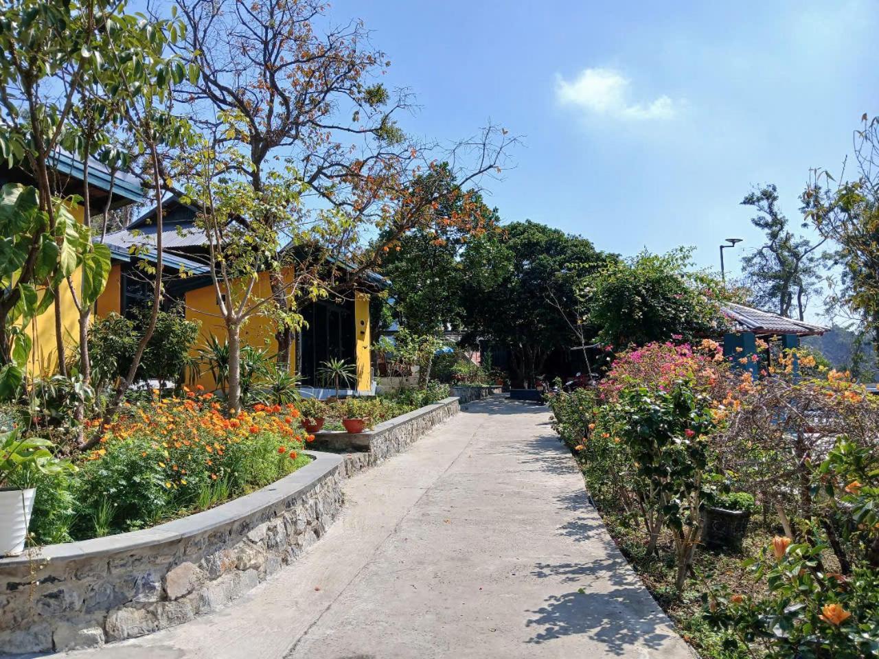 Catba Papillon Garden Bungalows & Resort Hien Hao Exterior foto
