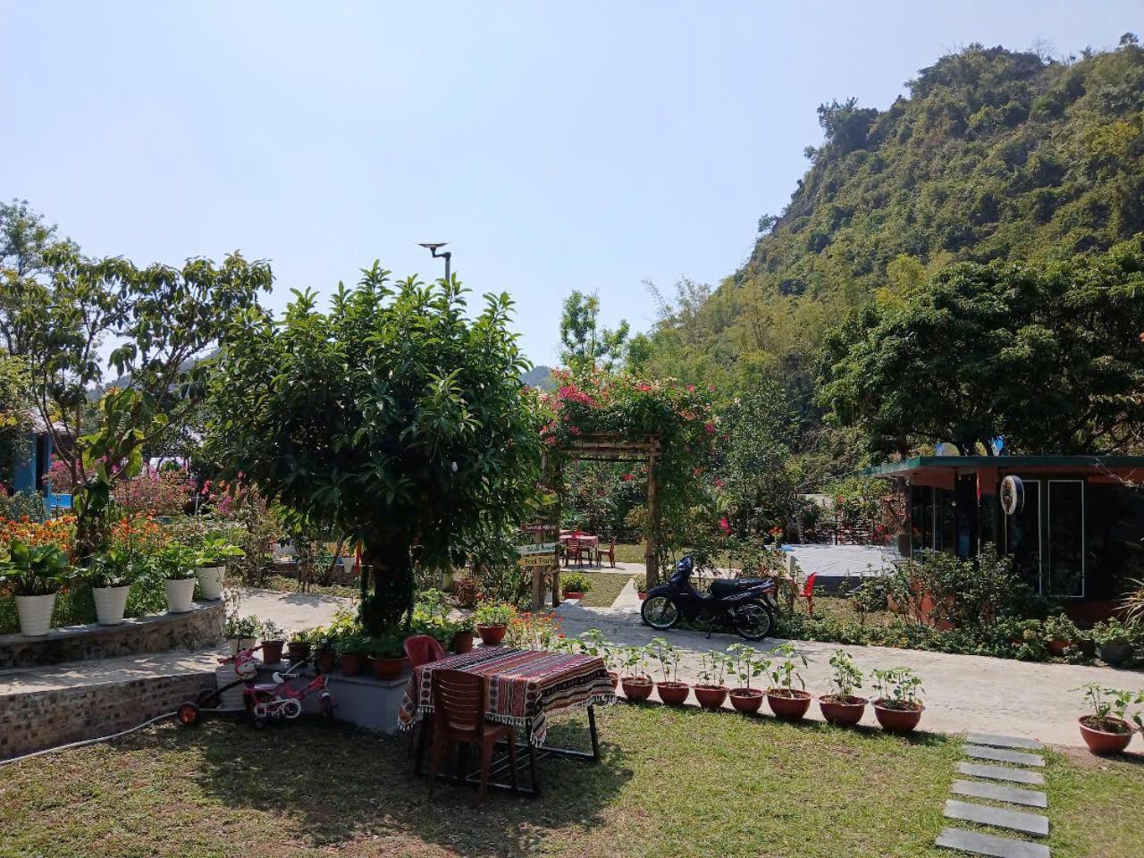 Catba Papillon Garden Bungalows & Resort Hien Hao Exterior foto